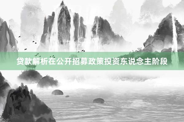 贷款解析在公开招募政策投资东说念主阶段