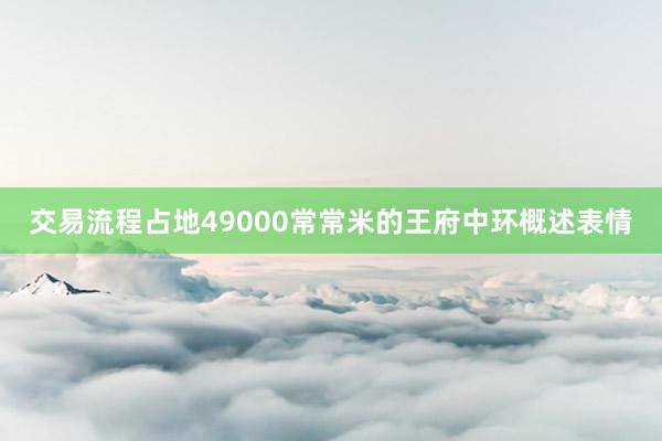 交易流程占地49000常常米的王府中环概述表情