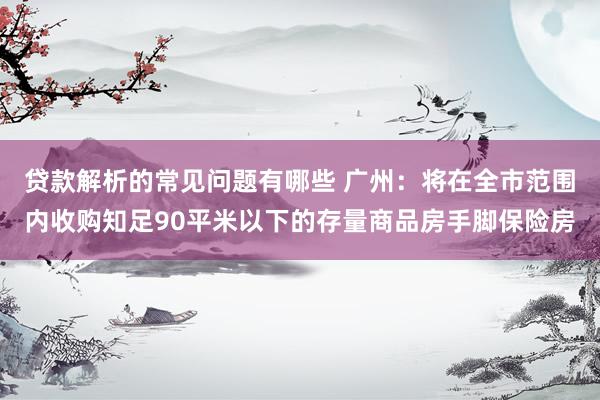 贷款解析的常见问题有哪些 广州：将在全市范围内收购知足90平米以下的存量商品房手脚保险房