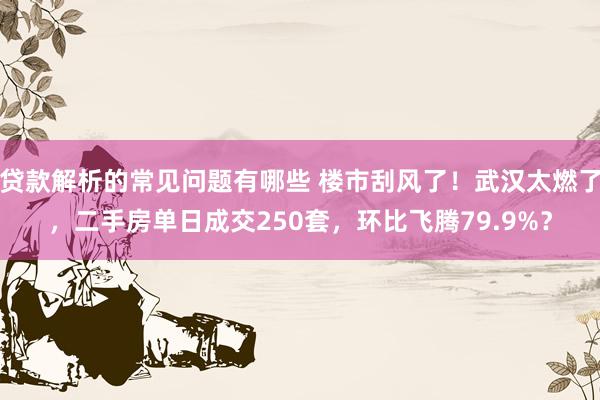 贷款解析的常见问题有哪些 楼市刮风了！武汉太燃了，二手房单日成交250套，环比飞腾79.9%？