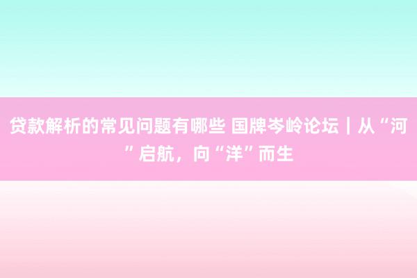 贷款解析的常见问题有哪些 国牌岑岭论坛｜从“河”启航，向“洋”而生