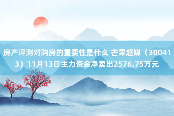 房产评测对购房的重要性是什么 芒果超媒（300413）11月13日主力资金净卖出2576.75万元