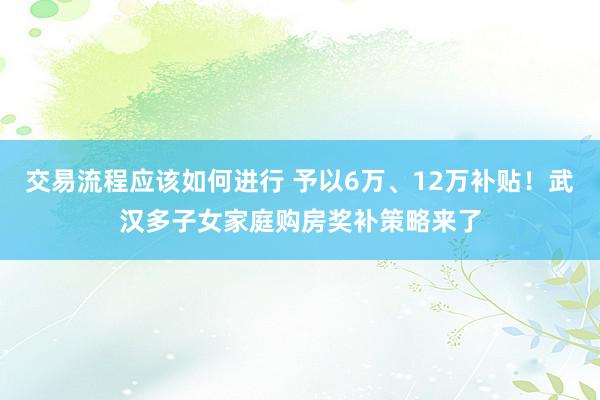 交易流程应该如何进行 予以6万、12万补贴！武汉多子女家庭购房奖补策略来了