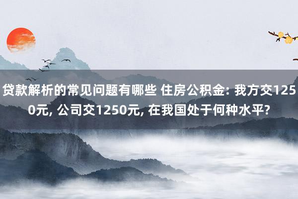 贷款解析的常见问题有哪些 住房公积金: 我方交1250元, 公司交1250元, 在我国处于何种水平?