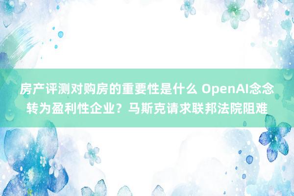 房产评测对购房的重要性是什么 OpenAI念念转为盈利性企业？马斯克请求联邦法院阻难