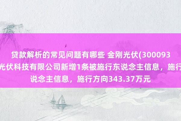 贷款解析的常见问题有哪些 金刚光伏(300093)控股的苏州金刚光伏科技有限公司新增1条被施行东说念主信息，施行方向343.37万元