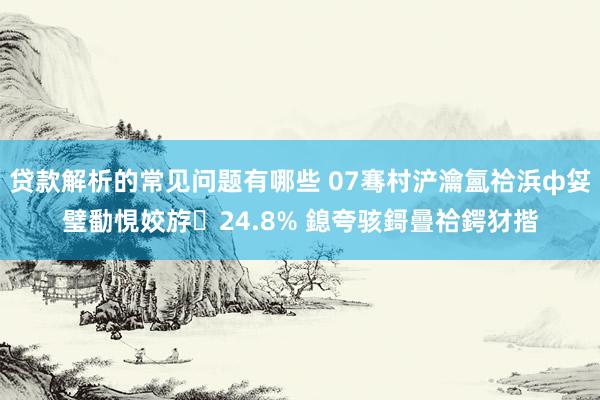 贷款解析的常见问题有哪些 07骞村浐瀹氳祫浜ф姇璧勫悓姣斿24.8% 鎴夸骇鎶曡祫鍔犲揩