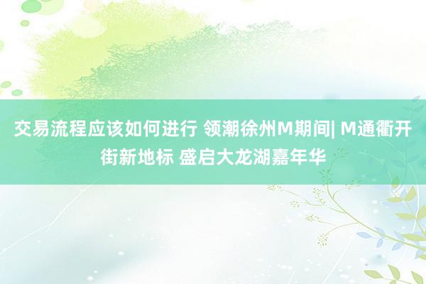 交易流程应该如何进行 领潮徐州M期间| M通衢开街新地标 盛启大龙湖嘉年华