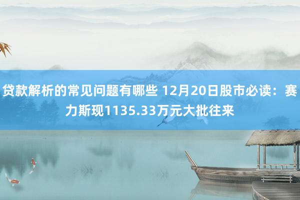 贷款解析的常见问题有哪些 12月20日股市必读：赛力斯现1135.33万元大批往来