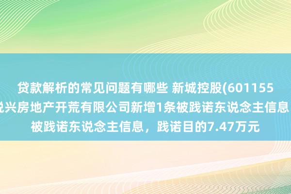 贷款解析的常见问题有哪些 新城控股(601155)控股的天长市新城悦兴房地产开荒有限公司新增1条被践诺东说念主信息，践诺目的7.47万元