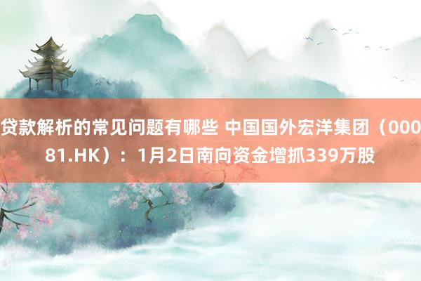 贷款解析的常见问题有哪些 中国国外宏洋集团（00081.HK）：1月2日南向资金增抓339万股