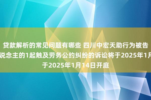 贷款解析的常见问题有哪些 四川中宏天助行为被告/被上诉东说念主的1起触及劳务公约纠纷的诉讼将于2025年1月14日开庭