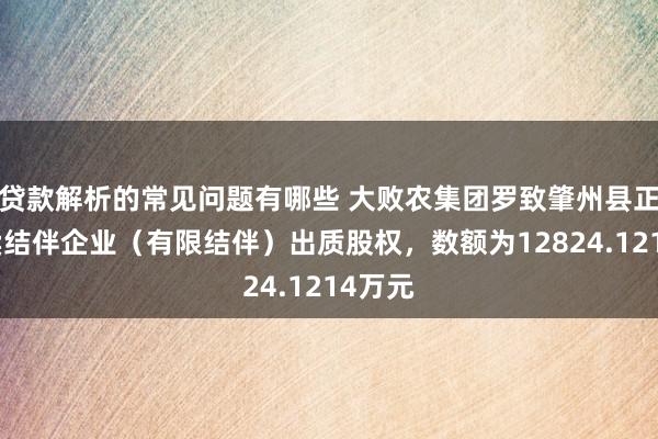 贷款解析的常见问题有哪些 大败农集团罗致肇州县正行买卖结伴企业（有限结伴）出质股权，数额为12824.1214万元