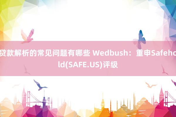 贷款解析的常见问题有哪些 Wedbush：重申Safehold(SAFE.US)评级