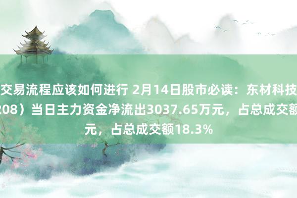 交易流程应该如何进行 2月14日股市必读：东材科技（601208）当日主力资金净流出3037.65万元，占总成交额18.3%