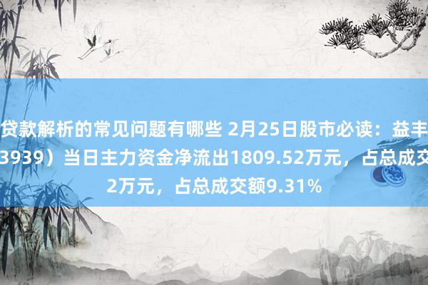 贷款解析的常见问题有哪些 2月25日股市必读：益丰药房（603939）当日主力资金净流出1809.52万元，占总成交额9.31%