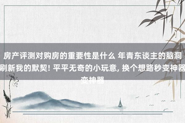 房产评测对购房的重要性是什么 年青东谈主的脑洞刷新我的默契! 平平无奇的小玩意, 换个想路秒变神器