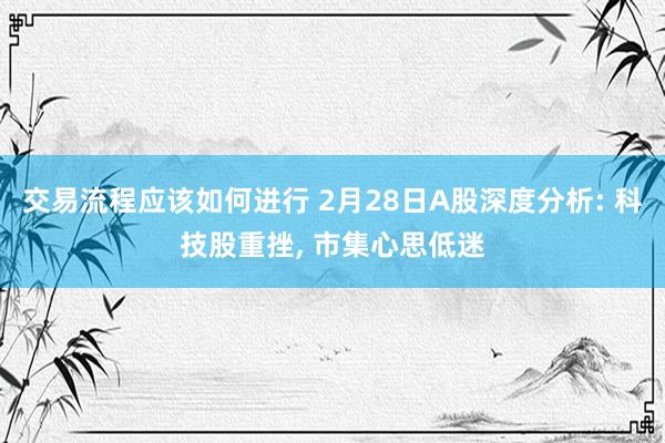 交易流程应该如何进行 2月28日A股深度分析: 科技股重挫, 市集心思低迷