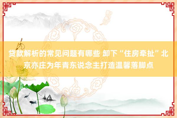 贷款解析的常见问题有哪些 卸下“住房牵扯”北京亦庄为年青东说念主打造温馨落脚点