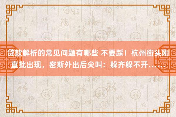 贷款解析的常见问题有哪些 不要踩！杭州街头刚直批出现，密斯外出后尖叫：躲齐躲不开……